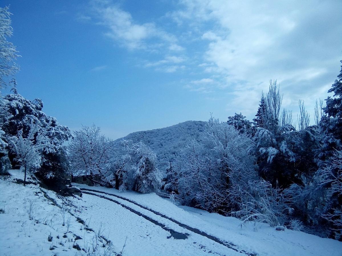 Mas Pardas Santa Pau Exteriér fotografie