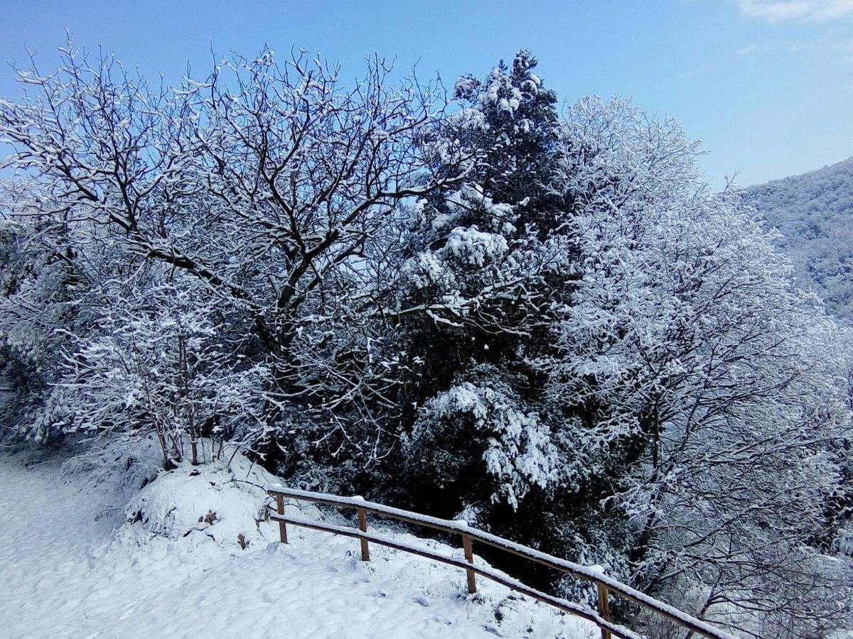 Mas Pardas Santa Pau Exteriér fotografie